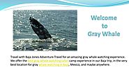 Gray Whale Watching Camp - Baja Jones Adventure Travel