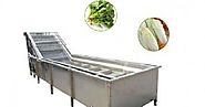 loftymachinery: Commercial Vegetable Washing Machines for Easy Washing
