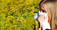 Common Allergies during autumn