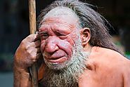 Thank Neanderthals for Your Immune System | Smart News | Smithsonian
