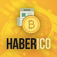 Bitcoin Aramaları Google'da %1000 Arttı | Haberico