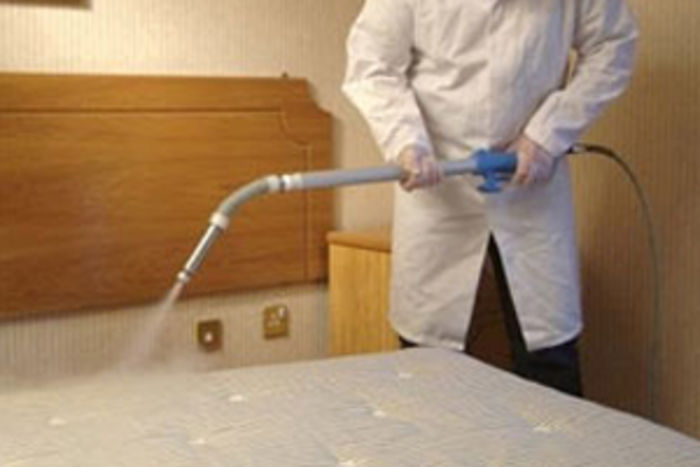 Bed Bug Infestation Treatment A Listly List 8107