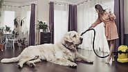 Best Vacuum For Pet Hair 2019 That Makes Your Home Living Easy