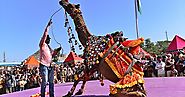 Pushkar Fair Tour Rajasthan India