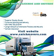 Professional Delhi Packers and Movers