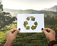 Environment-Friendly Paper Shredding Techniques