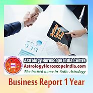 Business Report 1 Year