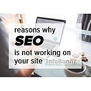 SEO is not working on my site - Here is the fix to get better search results