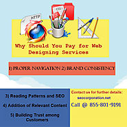 Why Should You Pay for Web Designing Services?
