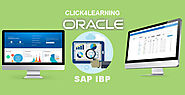 SAP IBP Online Training - Self Paced @ Click4Learning.Com