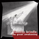 timothy brindle - The Great Awakening