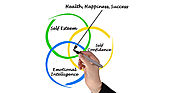 Improve the effectiveness of your communication with Emotional Intelligence Workshop