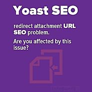 SEO problem - Are you affected by this Yoast SEO issue - ? [EASY FIX]