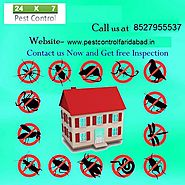 Termite Treatment Services in faridabad