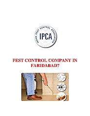 Avail The Best Pest Control Services In Faridabad