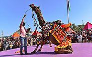 Pushkar Mela tour is the best way to know and link with rajasthan haven & culture.
