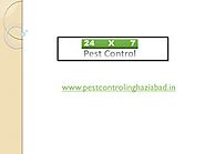 PPT - Professional pest control services in ghaziabad PowerPoint Presentation - ID:7792744