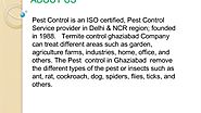 Hassel Free Pest Control Services by Pest Control Ghaziabad