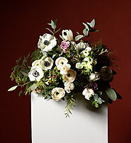 Find the best Funeral Flowers in Willesden