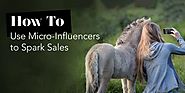 How To Use Micro-Influencers to Spark Sales in Ecommerce