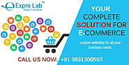 ECommerce Web Development Company - Responsive eCommerce Websites