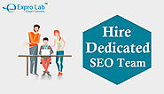 Hire SEO Expert India – Expro Lab