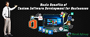 Basic Benefits of Custom Software Development for Businesses | Merak Infoway