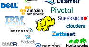Hadoop Developer Certification – Stand Tall in The IT World