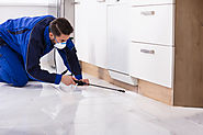House Pest Control: Some Basic Tips To Do It By Yourself
