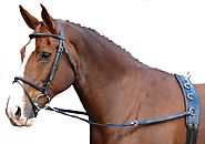 What Will Horse Reins Be Like In The Next 50 Years | Horse Reins