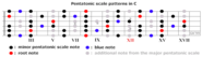 Solo Guitar - The Blues Scales
