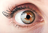 Whole Eye Transplant - A Genuine Possibility?
