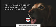 Top 10 Ways a Therapy Dog Can Help Your Child with Autism - Autism Parenting Magazine