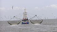 First of its kind seafood slavery risk tool launched | SAFETY4SEA