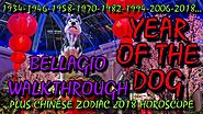Year of the Dog 2018 - Bellagio Gardens - Chinese New Year - Things to do in Vegas
