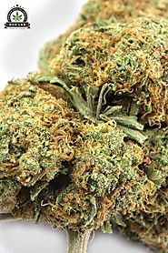 Instructions To Purchase Lawful Recreational Weed In The Online Time – Bud Lab