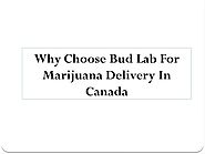 Why Choose Bud Lab For Marijuana Delivery In Canada