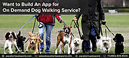 Get On-Demand Dog Walking & Sitting Application