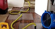 Make Your Home Mold Free with 24*7 Structural Drying & De-humidification Services