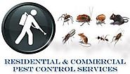 Hire The Cheap Pest Control Services in east delhi