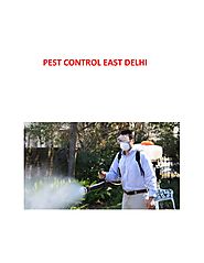 PPT - Avail the best Pest Control Services In East Delhi PowerPoint Presentation - ID:8159103