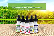 Detailed Study of CBD Terpenes and how it is beneficial to Human