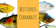 View our Best Rated Lipless Crankbaits