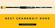 Best Crank bait Rods