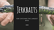 How to Find the Best Jerkbaits for Bass Fishing
