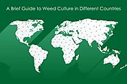 Acceptance of Weed Culture in various countries