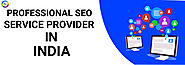 Professional SEO Service Provider in India