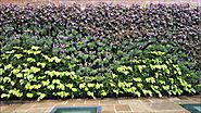 Green Living Walls Roofing Green Infrastructure Scotscape Landscaping and Vertical Planting Systems