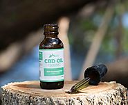 Reasons For Buying Wholesale CBD Products