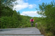 7stanes - Mabie Mountain Biking Trails - Scotland - Dumfries and Galloway